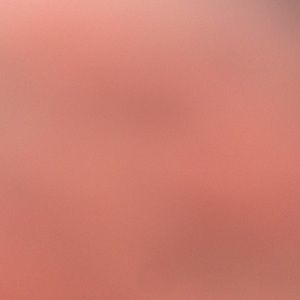 Meet your Posher, Dehlila